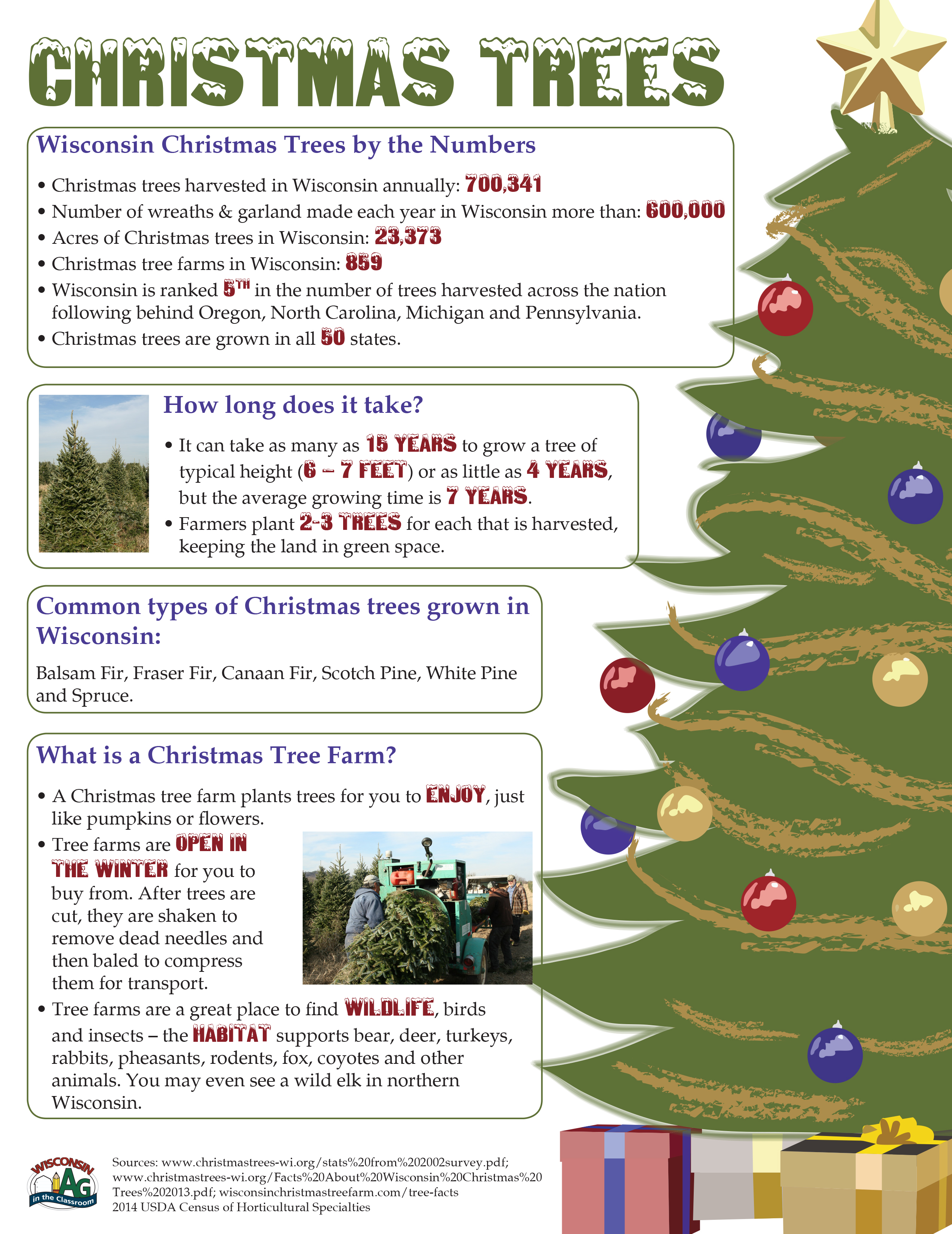 Christmas Trees Fact Sheet