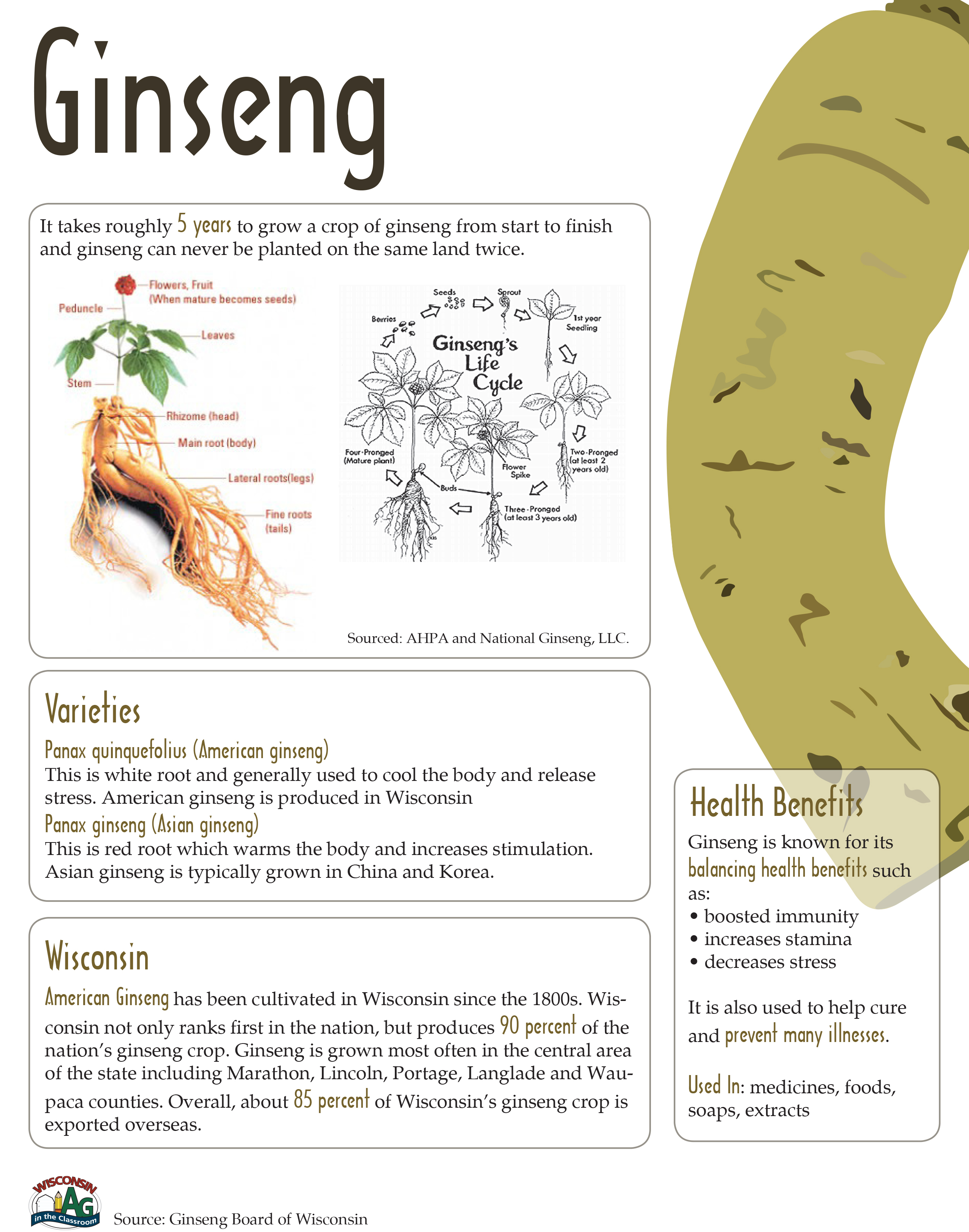 Ginseng Fact Sheet