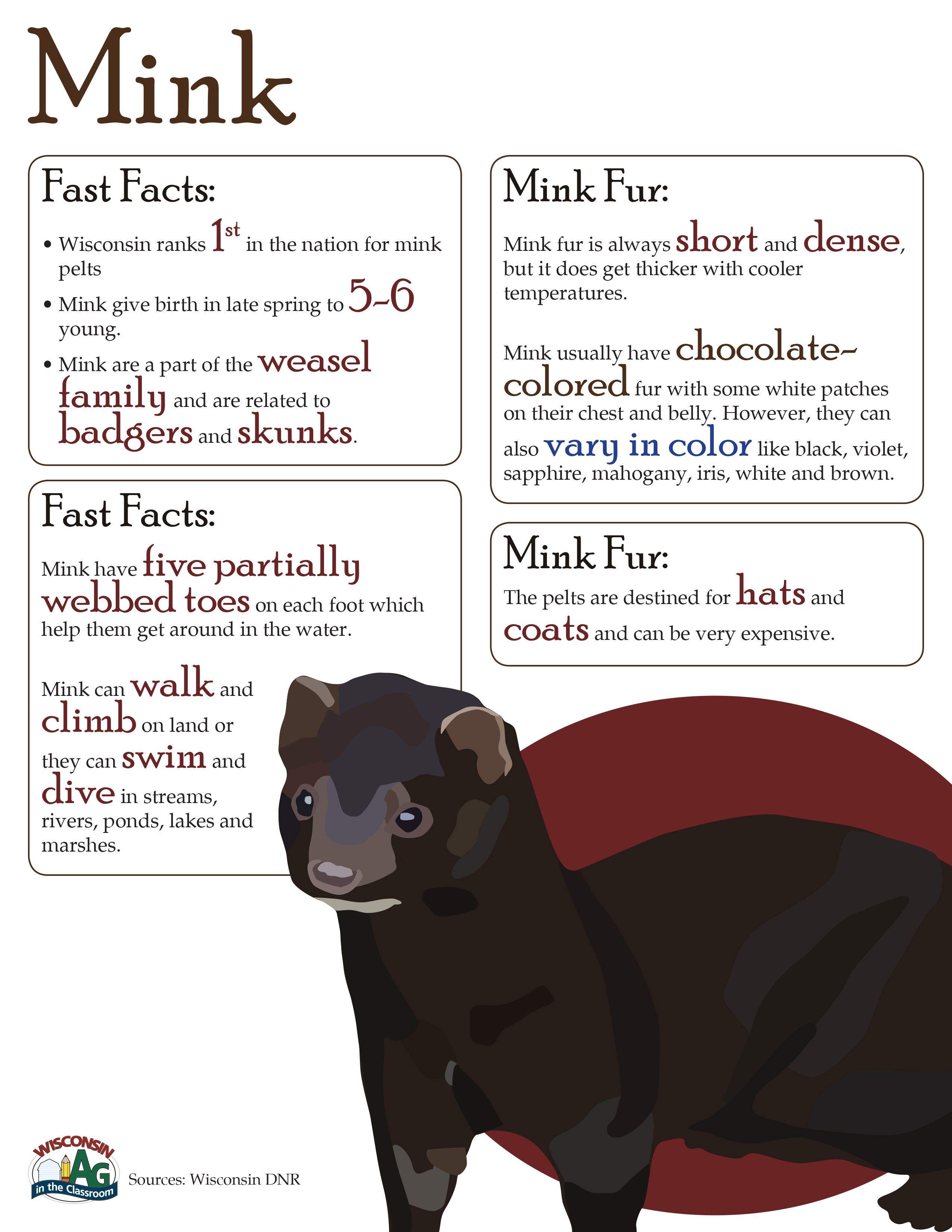 Mink Fact Sheet