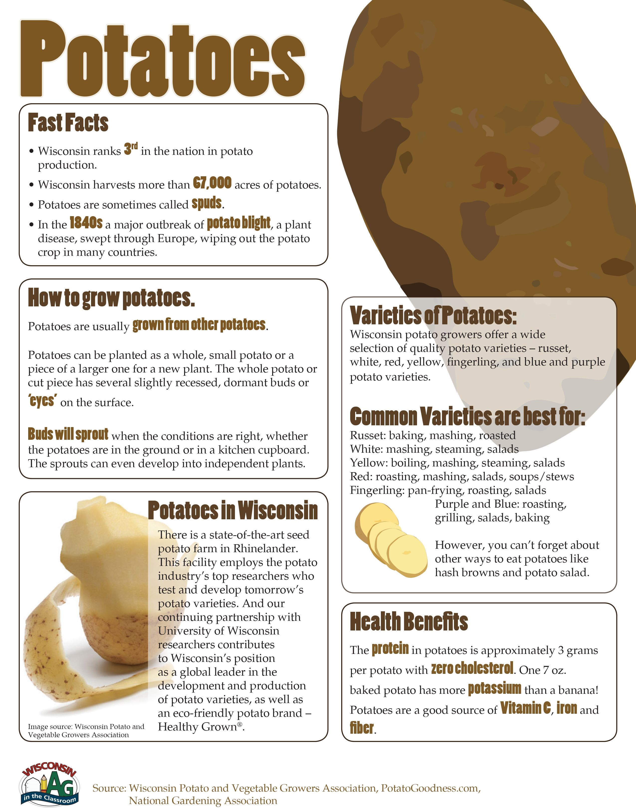 Potatoes Fact Sheet