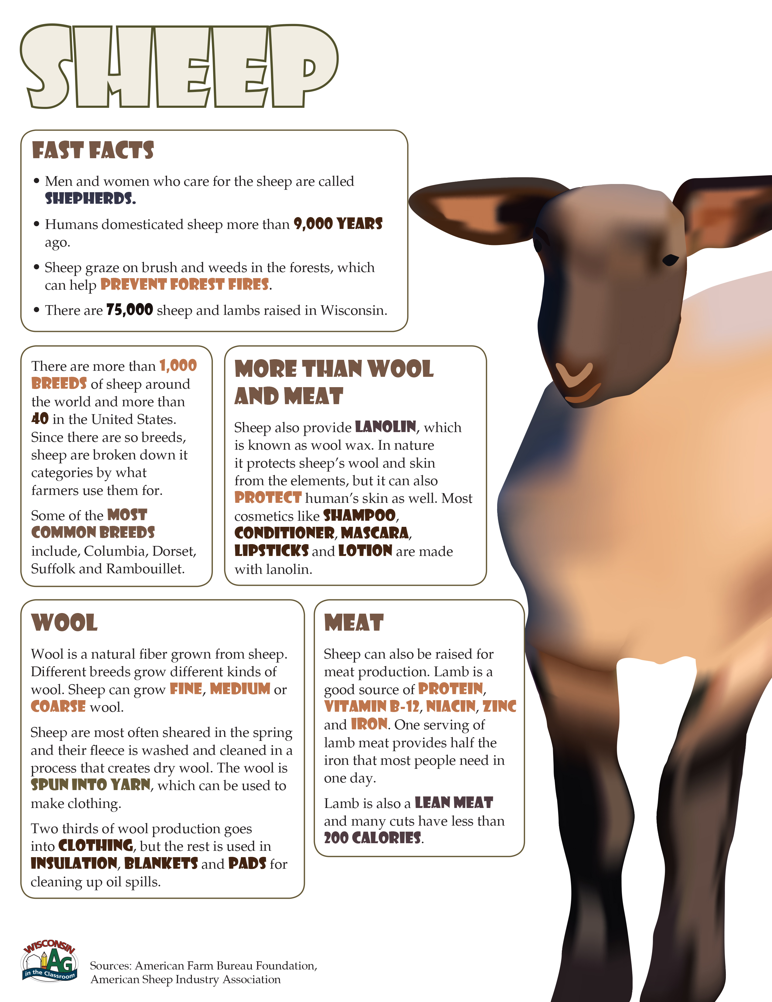 Sheep Fact Sheet