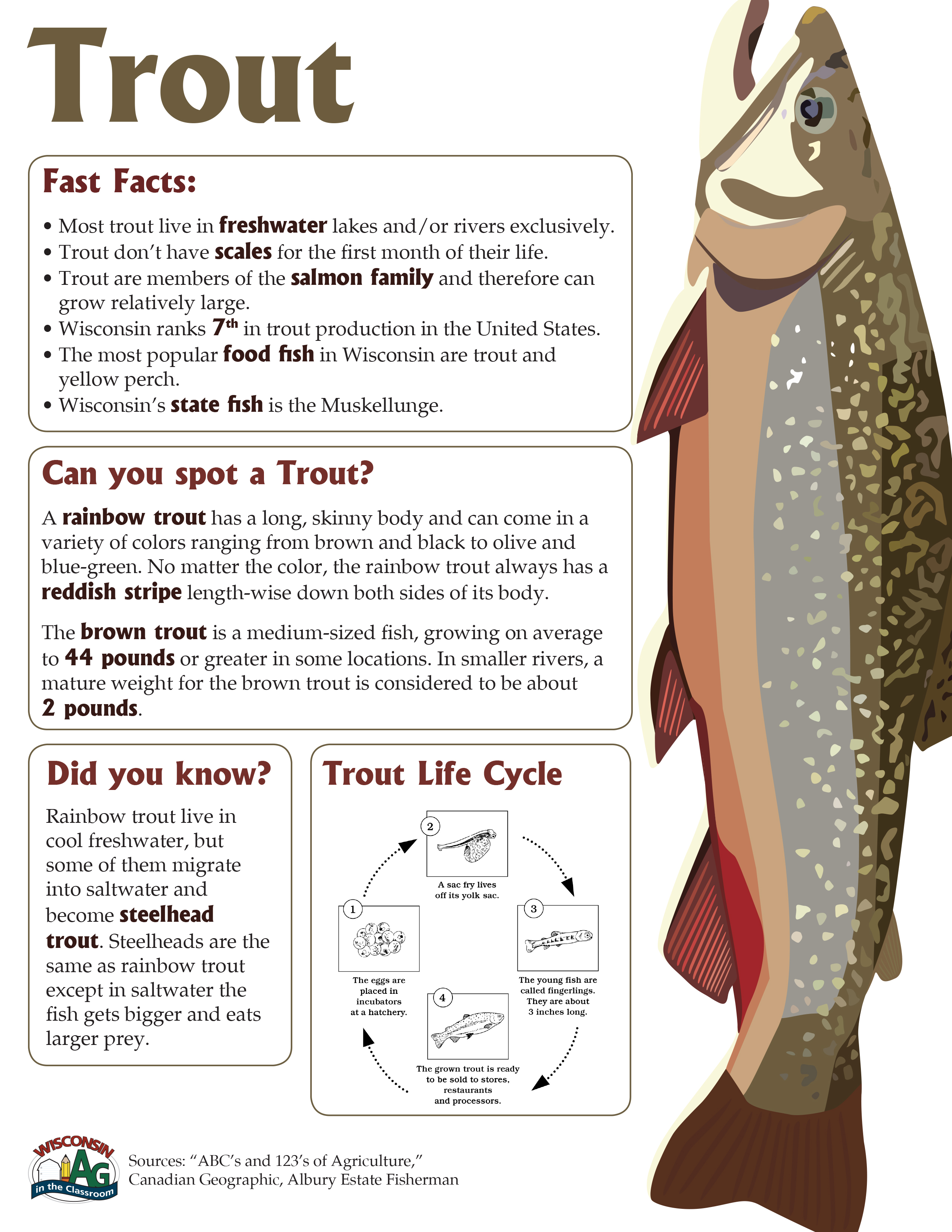 Trout Fact Sheet