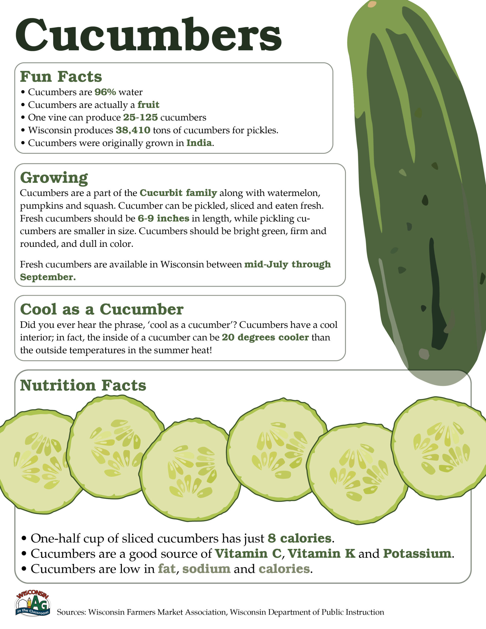 Cucumber Fact Sheet